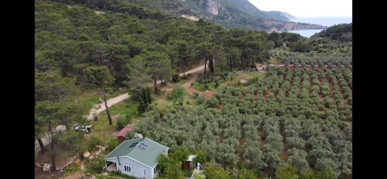 Gelidonia Fenerium Holiday Home Antalya Ngoại thất bức ảnh