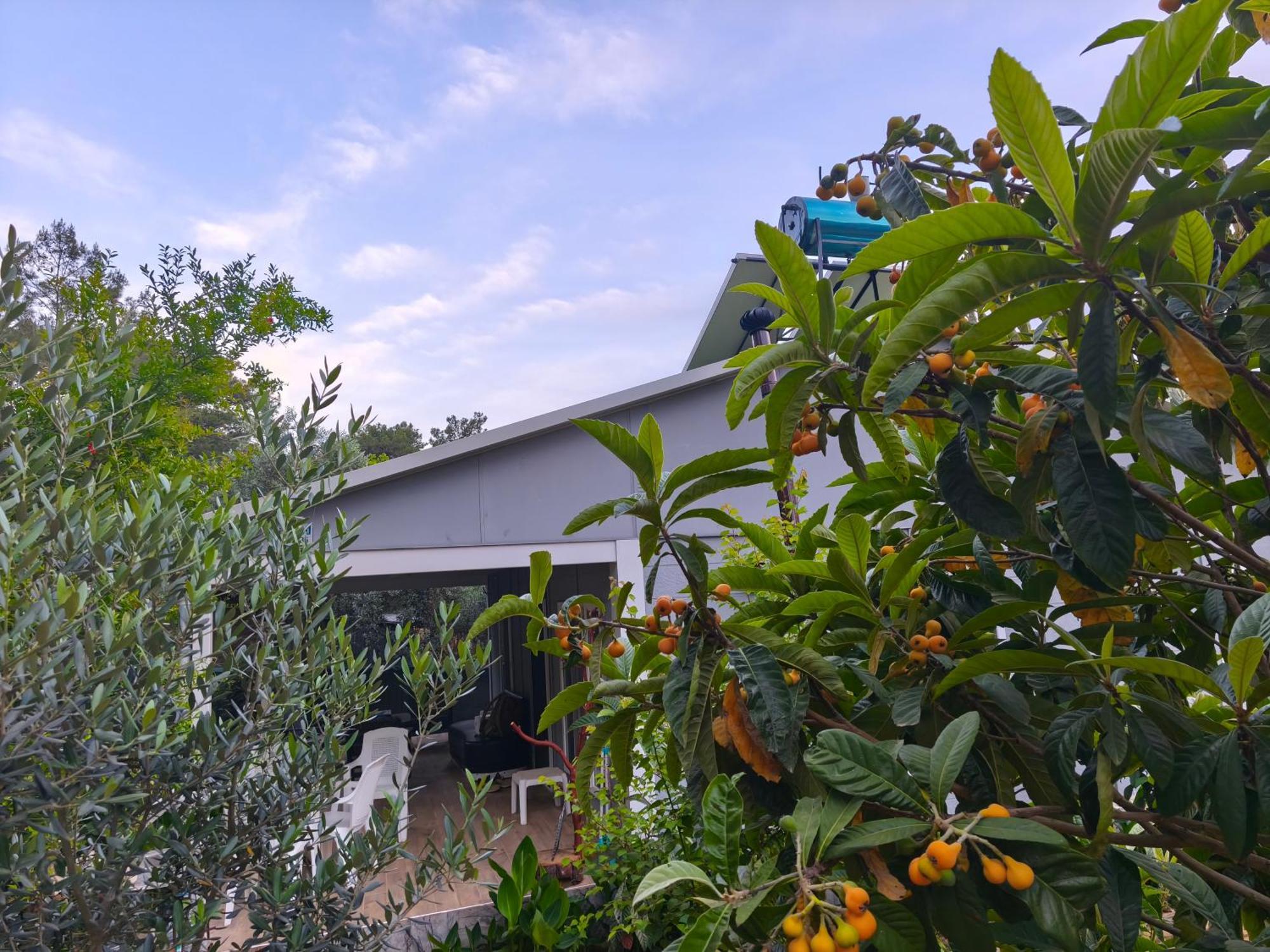 Gelidonia Fenerium Holiday Home Antalya Ngoại thất bức ảnh